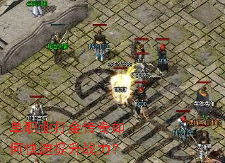 ��ְҵ�������ο�������ս����