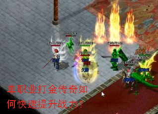 ��ְҵ�������ο�������ս����