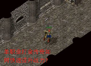 ��ְҵ�������ο�������ս����