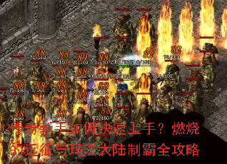 ����������ο������֣�ȼ�յ�Զ�����귨��½�ư�ȫ����