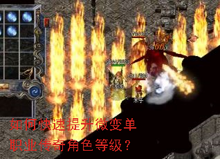 ��ο�������΢�䵥ְҵ�����ɫ�ȼ���