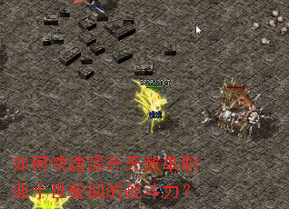 ��ο����������ⵥְҵʮ���ֻص�ս������