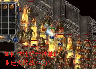 ��ο��������뵥ְҵ��ʧ��ս������