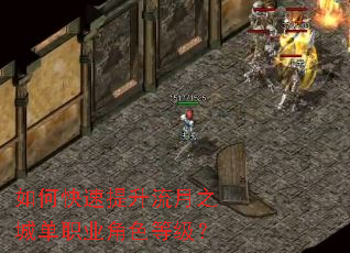 ��ο�����������֮�ǵ�ְҵ��ɫ�ȼ���