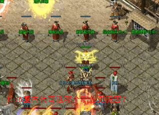 1.76���Ŵ���ѡ�ĸ�ְҵ��������