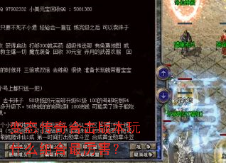 ��̬����ϻ��汾��ʲô�����������