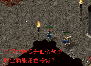 ��ο��������ɵ۽ٵ�ְҵ�·���ɫ�ȼ���