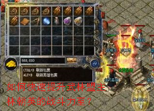 ��ο����������������ֳ�Ӣ��ս��������