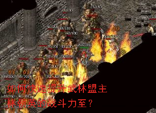 ��ο����������������ֳ�Ӣ��ս��������