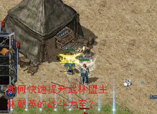 ��ο����������������ֳ�Ӣ��ս��������