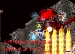 ��ο����������������ֳ�Ӣ��ս��������