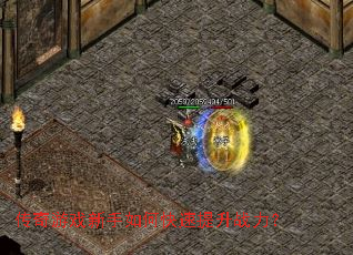 ������Ϸ������ο�������ս����