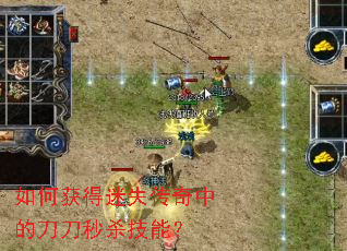 ��λ����ʧ�����еĵ�����ɱ���ܣ�