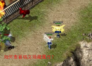 ��β鿴�����������ԣ�