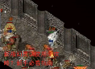 �·������ʹ��ȫ���ԣ����ֱؿ�ָ��