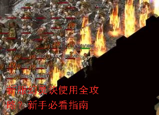 �·������ʹ��ȫ���ԣ����ֱؿ�ָ��