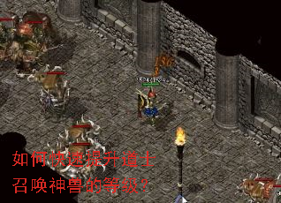 ��ο���������ʿ�ٻ����޵ĵȼ���