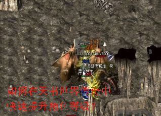 ������������紫���п���������ɫ�ȼ���