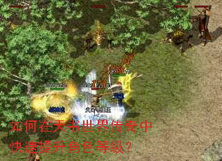 ������������紫���п���������ɫ�ȼ���