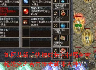 ��δ����ֿ��ٳɳ�Ϊ��ħ���Գ�����̬�ϻ������·�����