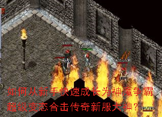 ��δ����ֿ��ٳɳ�Ϊ��ħ���Գ�����̬�ϻ������·�����