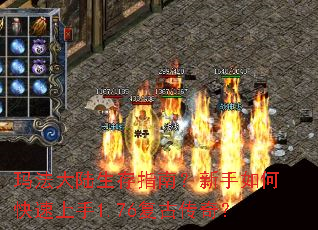 �귨��½����ָ�ϣ�������ο�������1.76���Ŵ��棿