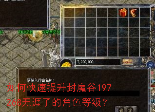 ��ο���������ħ��197268�����ӵĽ�ɫ�ȼ���