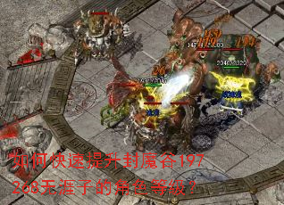 ��ο���������ħ��197268�����ӵĽ�ɫ�ȼ���