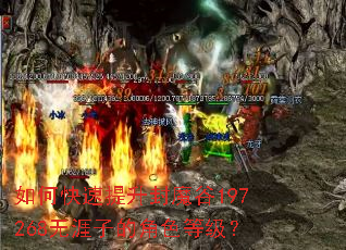 ��ο���������ħ��197268�����ӵĽ�ɫ�ȼ���