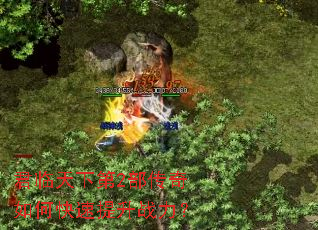 �������µ�2��������ο�������ս����