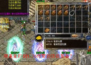 �����ܴ�1.76����Ķ���װ����