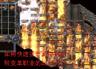 ��ο���������۾�Ʒ��䵥ְҵ��ս������