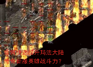 ��ο��������귨��½�����·�Ӣ��ս������