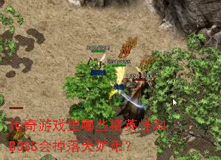 ������Ϸ����Щ��Ӣ�ֺ�BOSS�������ʱң�