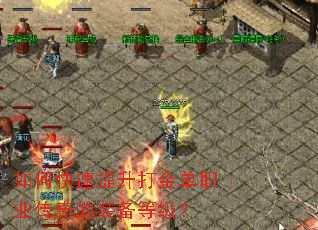 ��ο����������ְҵ�����װ���ȼ���