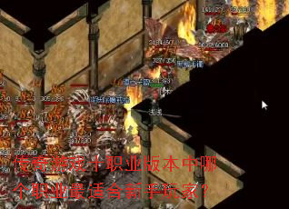 ������Ϸʮְҵ�汾���ĸ�ְҵ���ʺ�������ң�