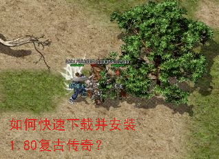 ��ο������ز���װ1.80���Ŵ��棿