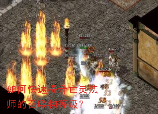 ��ο����������鷨ʦ���ٻ���ȼ���