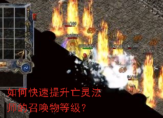 ��ο����������鷨ʦ���ٻ���ȼ���