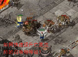 ��ο����������鷨ʦ���ٻ���ȼ���