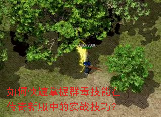 ��ο�������Ⱥ�������ڴ����·��е�ʵս���ɣ�