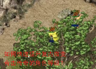 ��ο�����������΢��ϻ�����Ľ�ɫ�ȼ���