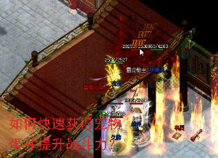 ��ο��ٻ�ó��ﵰ������ս������