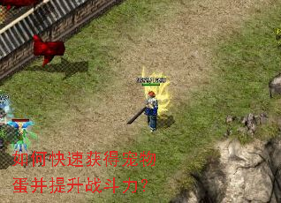 ��ο��ٻ�ó��ﵰ������ս������