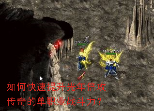 ��ο����������걶������ĵ�ְҵս������