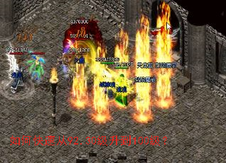 ��ο��ٴ�92.30������100����