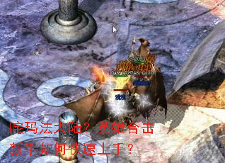 ���귨��½��Ӣ�ۺϻ�������ο������֣�