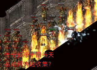 �����·�ʮ�ľ�������ο����ռ���