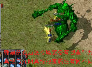 ����Ķ�ü��ר��װ������Щ�������澭������澭�ر������кβ�ͬ��