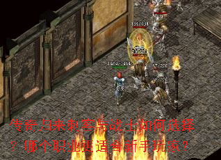 ��������̿���սʿ���ѡ���ĸ�ְҵ���ʺ�������ң�
